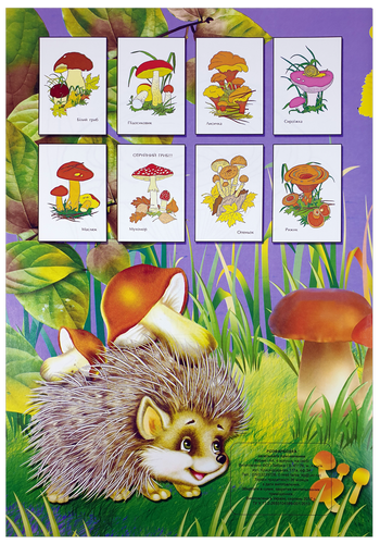 Раскраска Грибы А 4, 8 страниц под карандаш  U-00006 фото 2