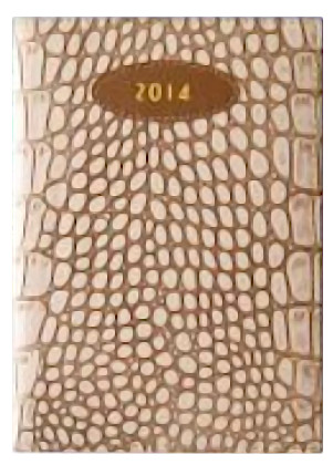 Ежедневник недатированный А5 ЛК линия, кожзаменитель бежевый EA5-7352/7-В