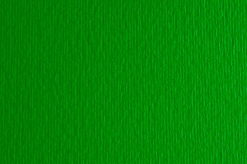 Картон для пастели и дизайна 50х70см Зеленый дуб Elle Erre 220 г 11  17221