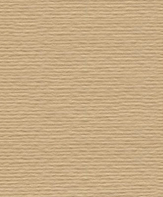 Картон для пастели и дизайна А3 Fabriano Бежевый 01 220 г