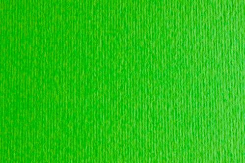 Картон для пастели и дизайна 50х70см Зеленый Яркий Elle Erre 220 г  14672