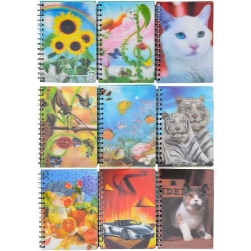 Блокнот-спираль А6 80 л Голограмма, пластиковая обложка В-А6-SG