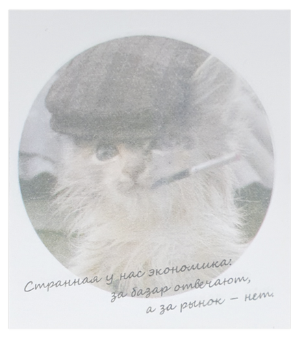 Бумага с липким слоем, стикер "Странная у нас экономика …" 30 листов AS-0542, Р-0138