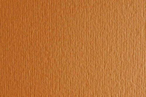 Картон для пастели и дизайна 50х70см Коричневый Светлый Elle Erre 220 г 03  17220