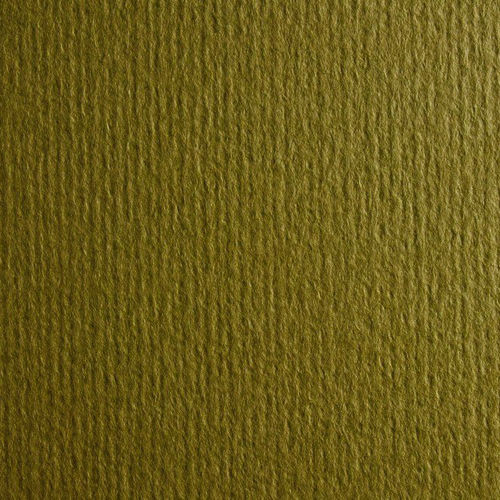 Картон для акварели и пастели А4 Murillo Оливковый 10 360 г  05463