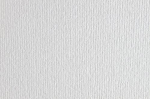 Картон для пастели и дизайна 50х70см Белый Elle Erre 220 г 00  17879