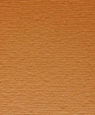 Картон для пастели и дизайна А4 Fabriano Коричневый светлый 03 220 г