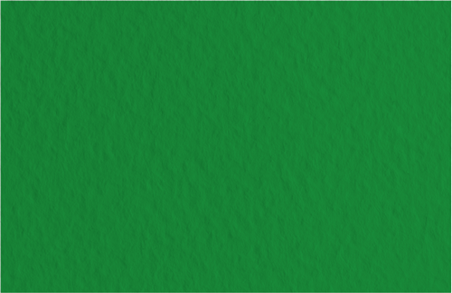 Картон для акварели и пастели А4 Tiziano Зеленый темный 37 160 г