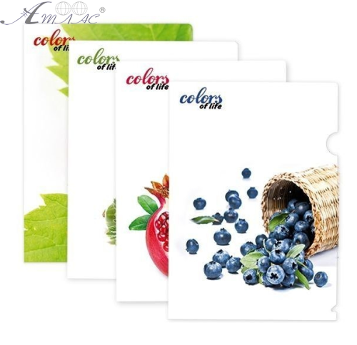 Папка куточок А4 Skiper мікс картинок  SK-310CL