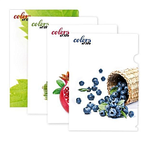 Папка куточок А4 Skiper мікс картинок  SK-310CL