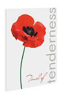 Папка швидкозшивач А4 Leo Poppy Мак L5137