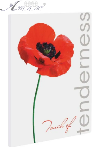 Папка швидкозшивач А4 Leo Poppy Мак L5137 Папка швидкозшивач А4 Leo Poppy Мак L5137