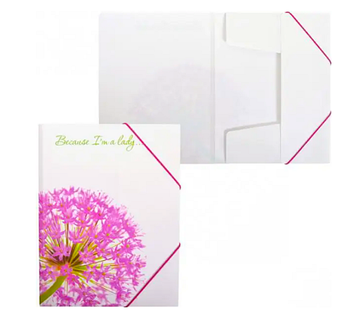 Папка на резинках А4 Leo "Алиум"  490632