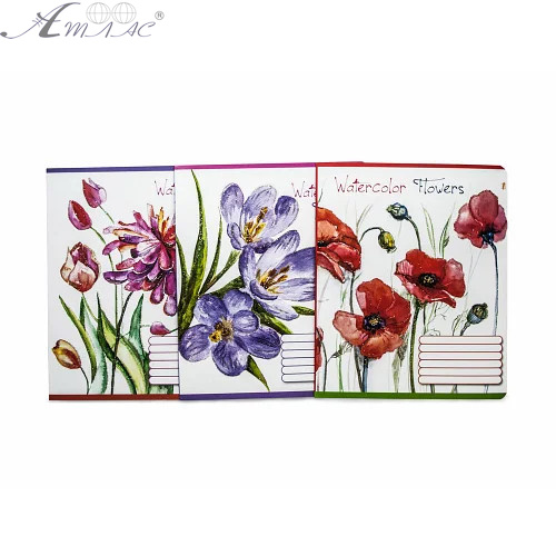 Зошит 12 арк лінія Аркуш, Тетрада мікс 92053