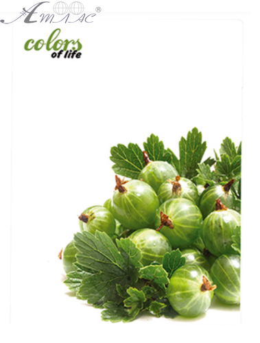 Папка з файлами на 20 файлів Skiper Colors of life А4 Аґрус  SK-20CL