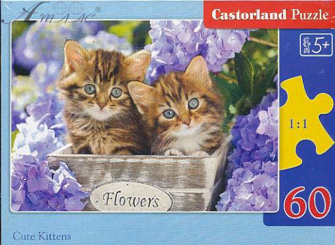 Игрушка Пазлы 60 Микс, 32 х 23 см В-06 Castorland Игрушка Пазлы 60 Микс, 32 х 23 см В-06 Castorland