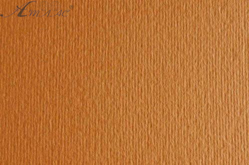 Картон для пастелі та дизайну 50х70см Коричневий Світлий Elle Erre 220 г 03 17220 Картон для пастелі та дизайну 50х70см Коричневий Світлий Elle Erre 220 г 03 17220