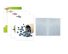 Папка с файлами на 20 файлов Skiper Colors of life А4 Черника  SK-20CL