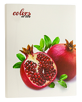 Папка з файлами на 20 файлів Skiper Colors of life А4 Гранат  SK-20CL