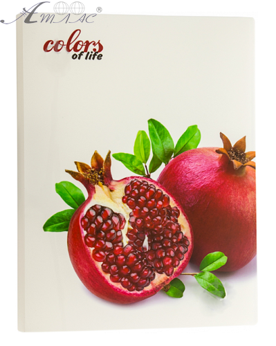 Папка з файлами на 20 файлів Skiper Colors of life А4 Гранат SK-20CL Папка з файлами на 20 файлів Skiper Colors of life А4 Гранат SK-20CL