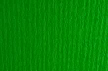 Картон для пастелі та дизайну 50х70см Зелений дуб Elle Erre 220 г 11  17221