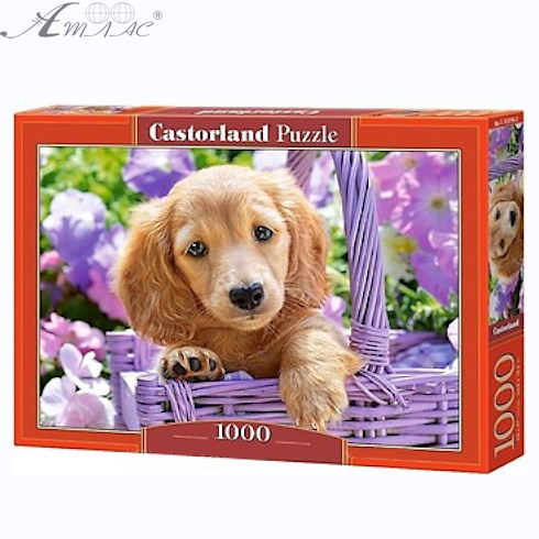 Игрушка Пазл 1000 Щенок в корзине 68 х 47 см Castorland C-103799 Игрушка Пазл 1000 Щенок в корзине 68 х 47 см Castorland C-103799