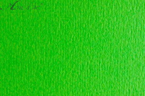 Картон для акварелі та пастелі 50х70 Зелений Яскравий Elle Erre 220 г  14672