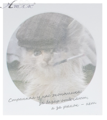 Папір з липким шаром, стікер "Дивна у нас економіка ..." 30 аркушів AS-0542, Р-0138