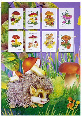 Розфарбовка гриби А 4, 8 сторінок під олівець U-00006 фото 2 Розфарбовка гриби А 4, 8 сторінок під олівець U-00006 фото 2