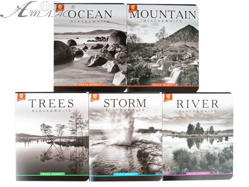 Зошит 96 арк клітинка Тетрада Мікс 81775 Зошит 96 арк клітинка Тетрада Мікс 81775