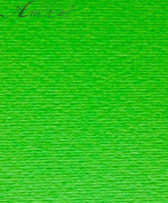 Картон для пастелі та дизайну А3 Fabriano Зелена трава 10 220 г  14618