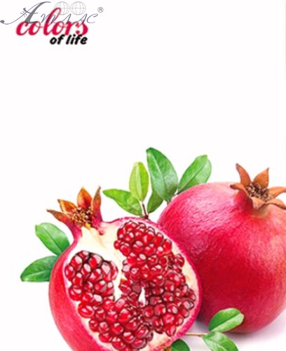 Папка швидкозшивач Skiper А4 полуниця, гранат SK-12CL фото 2 Папка швидкозшивач Skiper А4 полуниця, гранат SK-12CL фото 2