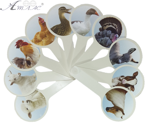 Віяло з картинками - Домашні тварини AS-0010, К-5376 фото 3 Віяло з картинками - Домашні тварини AS-0010, К-5376 фото 3