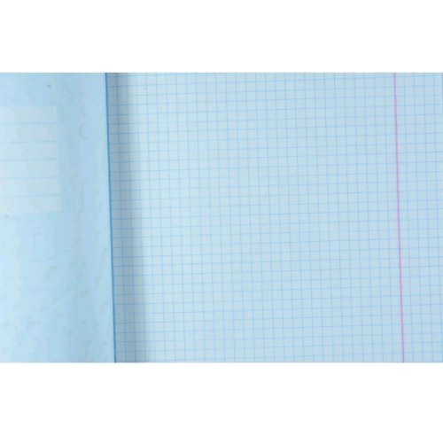 Тетрадь 12 листов Клетка фоновая Бриск  ТВ-50 фото 2