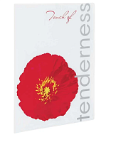 Папка куточок А4 Мак 180мкм  L5151