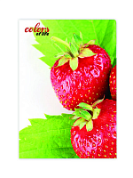 Папка з файлами на 20 файлів Skiper Colors of life А4 Полуниця  SK-20CL