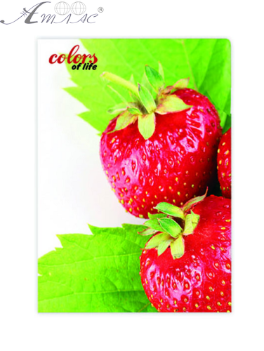 Папка з файлами на 20 файлів Skiper Colors of life А4 Полуниця SK-20CL Папка з файлами на 20 файлів Skiper Colors of life А4 Полуниця SK-20CL