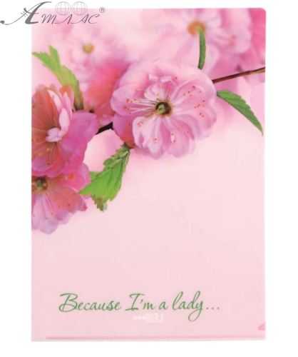 Папка уголок А4 Leo Сакура 180мкм  490633