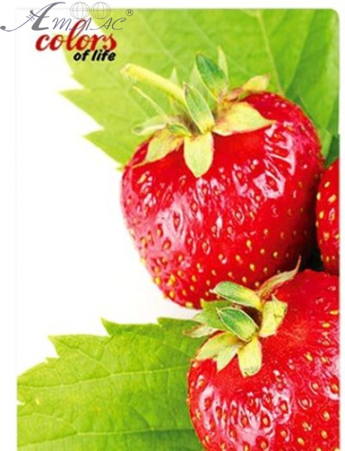 Папка швидкозшивач Skiper А4 полуниця, гранат SK-12CL Папка швидкозшивач Skiper А4 полуниця, гранат SK-12CL