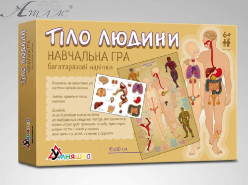 Игрушка Настольная Тело человека с многоразовыми наклейками КП-004 Игрушка Настольная Тело человека с многоразовыми наклейками КП-004