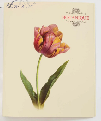 Папка LEO Botanique А4 на чотирьох кільцях 490812 Папка LEO Botanique А4 на чотирьох кільцях 490812