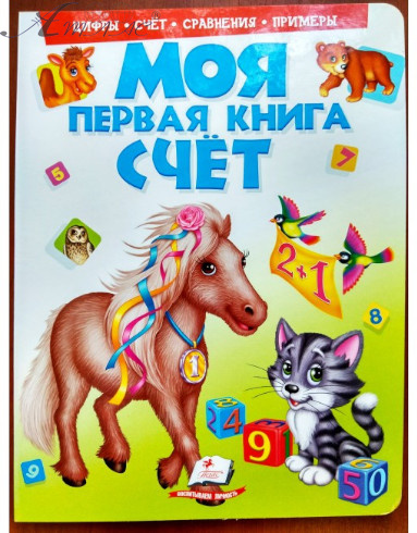 Книга А4 Моя перша книга "Лічба" Пегас