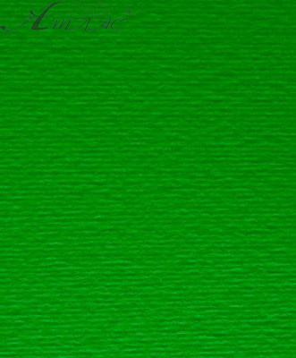 Картон для пастелі та дизайну А3 Fabriano Зелений 11 220 г Картон для пастелі та дизайну А3 Fabriano Зелений 11 220 г