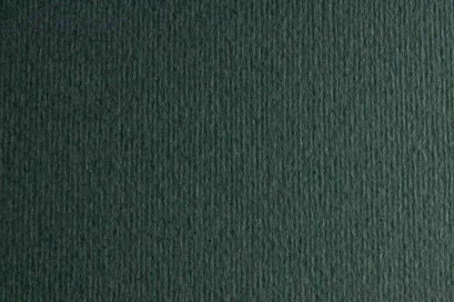 Картон для пастели и дизайна 50х70см Серый очень темный Elle Erre 220 г 22 ferro 17880 Картон для пастели и дизайна 50х70см Серый очень темный Elle Erre 220 г 22 ferro 17880