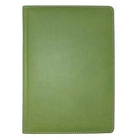 Щоденник недатований А5 Бриск Winner Зелений темний 176 арк 3B-43