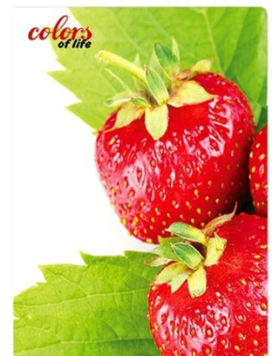 Папка скоросшиватель Skiper А4  клубника, гранат  SK-12CL