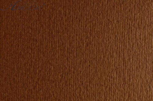 Картон для пастели и дизайна 50х70см Коричневый Elle Erre 220 г 06 marrone 17881 Картон для пастели и дизайна 50х70см Коричневый Elle Erre 220 г 06 marrone 17881