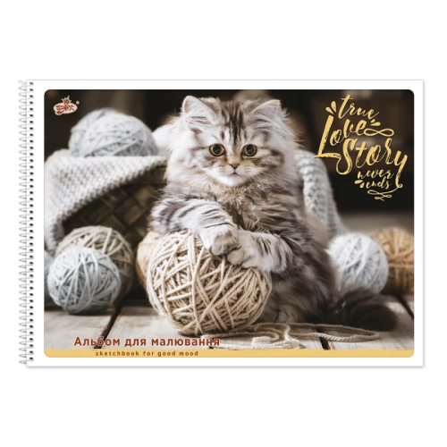 Альбом для рисования, спираль Бриск 50 листов 100 г микс  01903 фото 3