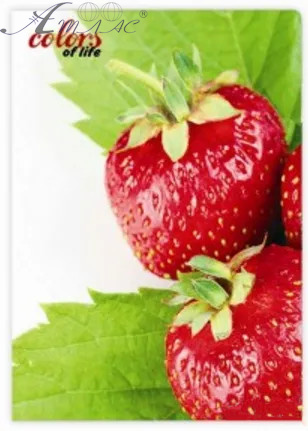 Папка із затиском Skiper А4 Colors of life SK-11 Папка із затиском Skiper А4 Colors of life SK-11