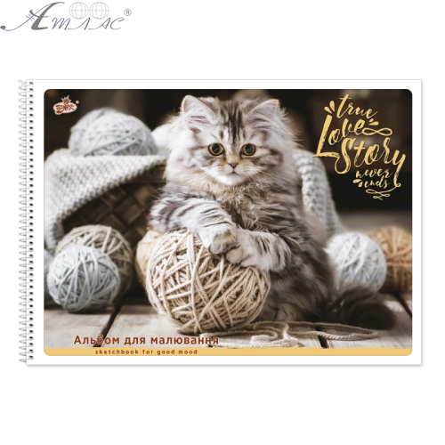 Альбом для малювання, спіраль Бриск 50 аркушів 100 г мікс 01903 фото 3 Альбом для малювання, спіраль Бриск 50 аркушів 100 г мікс 01903 фото 3